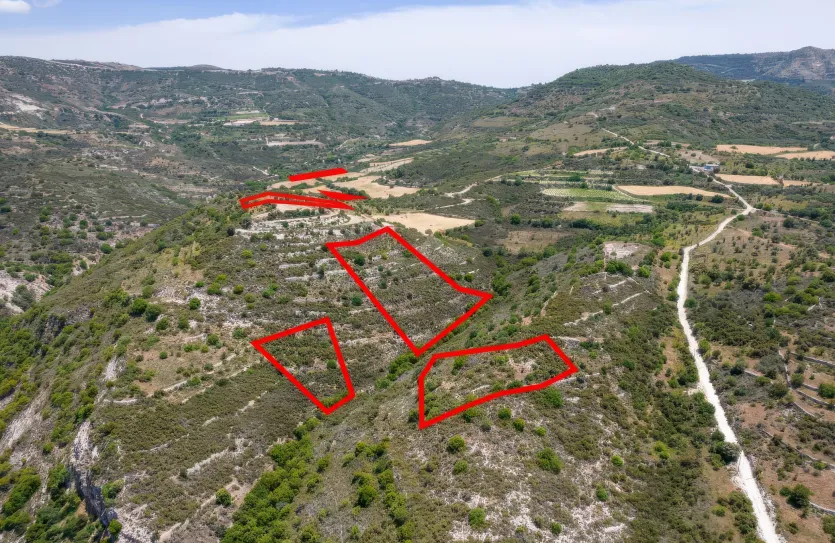 Сельхоз земля продажа - 18218