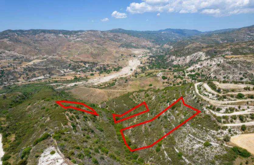 Сельхоз земля - 18218, photo 2