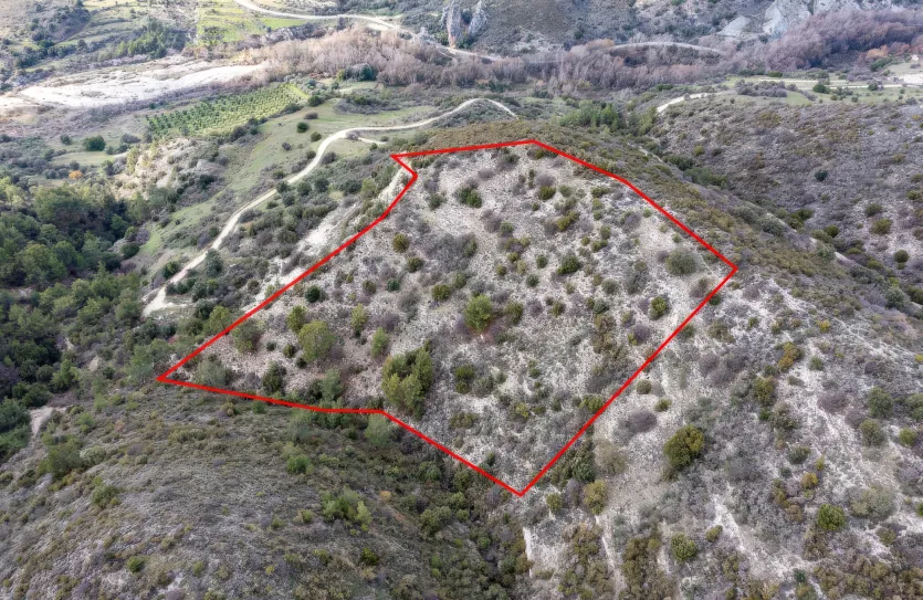 Сельхоз земля продажа - 18211