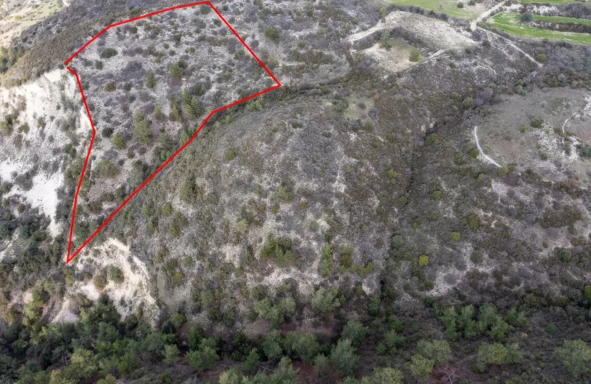 Сельхоз земля - 18211, photo 2