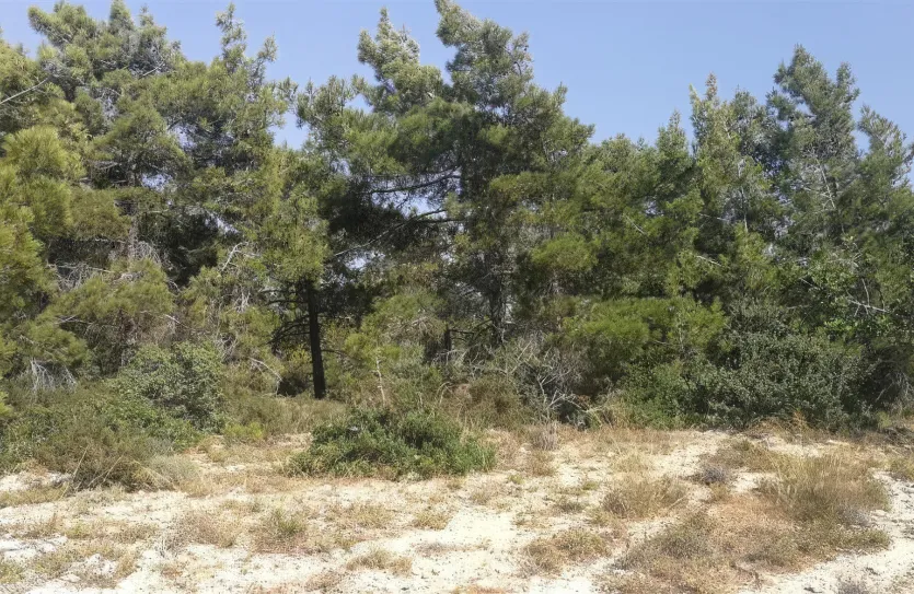 Agricultural land - 18215, photo 3