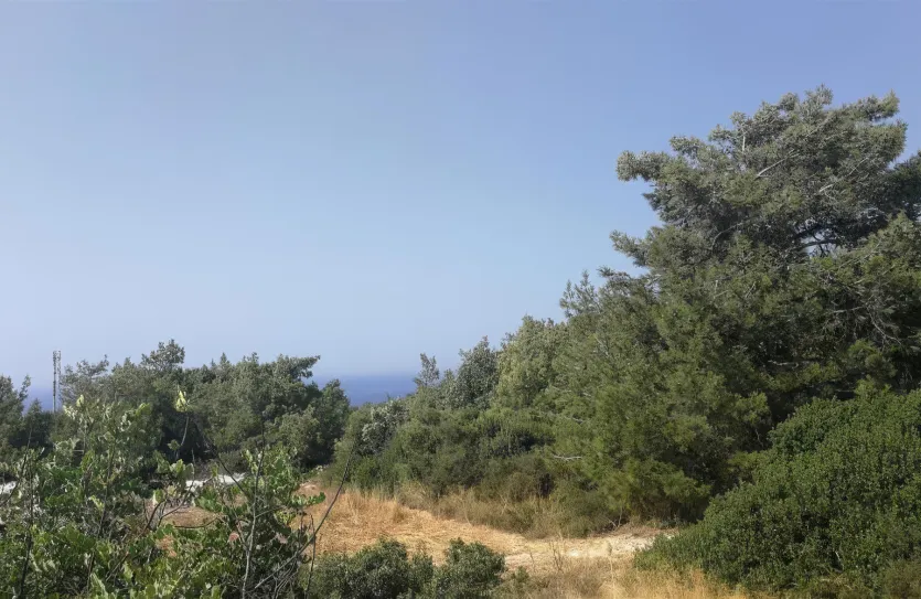 Agricultural land - 18215, photo 4