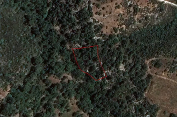 Сельхоз земля в Доре, Лимассол