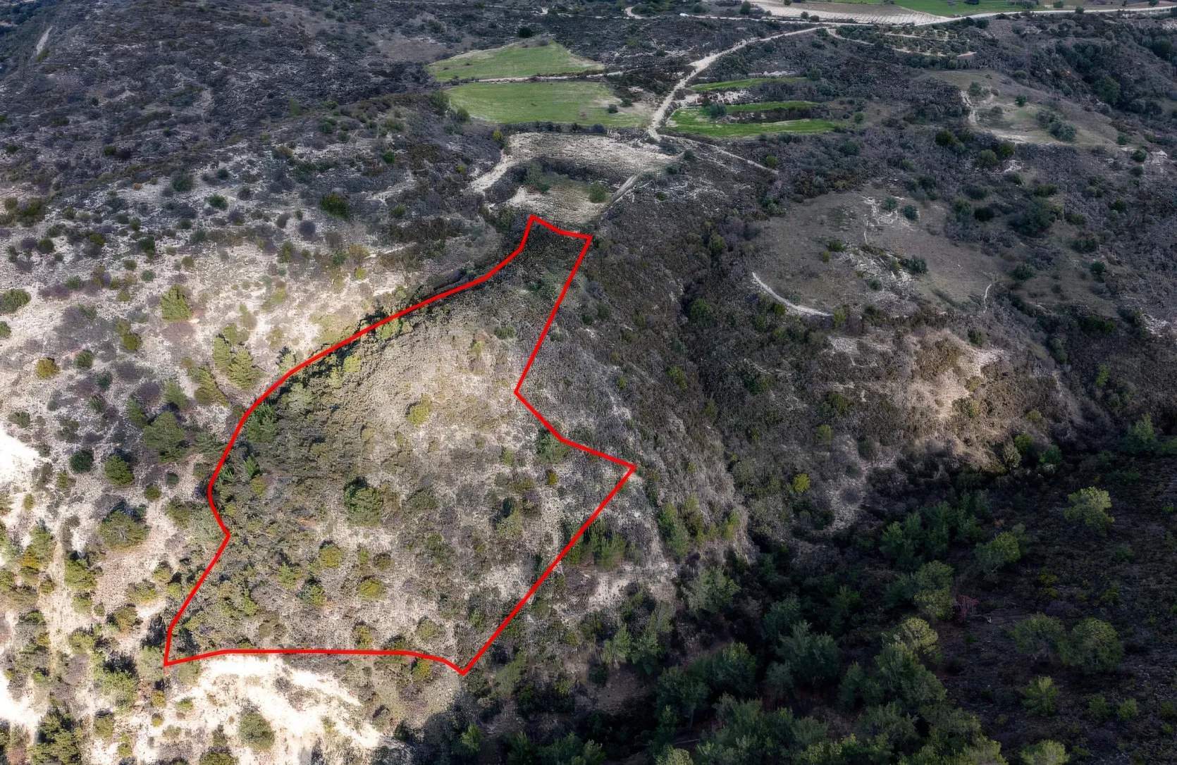 Сельхоз земля продажа - 18212