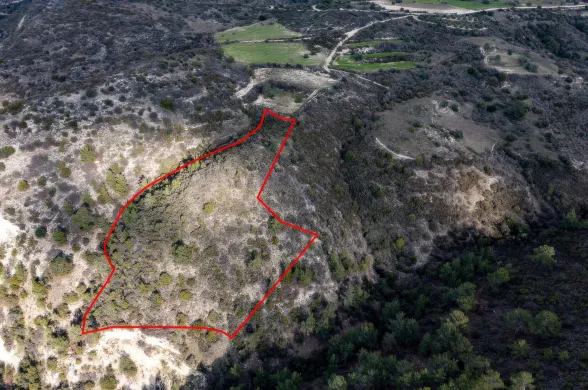 Сельхоз земля в Доре, Лимассол