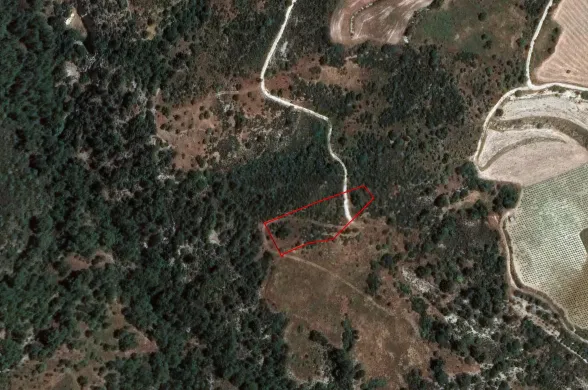 Сельхоз земля в Доре, Лимассол