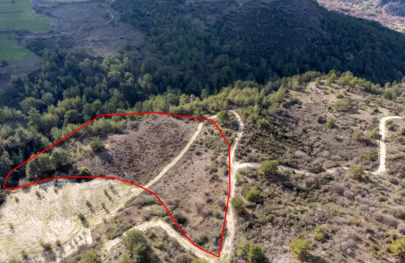 Agricultural land - 18227, photo 2