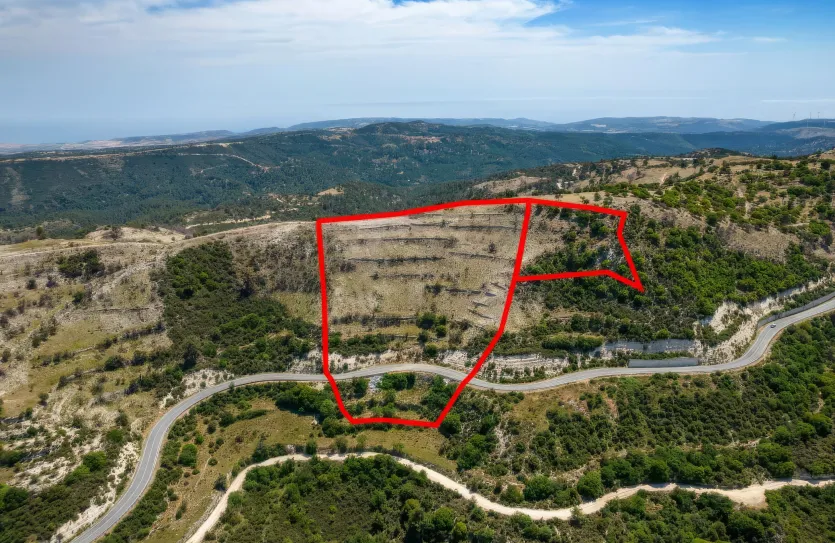 Agricultural land - 18223, photo 2