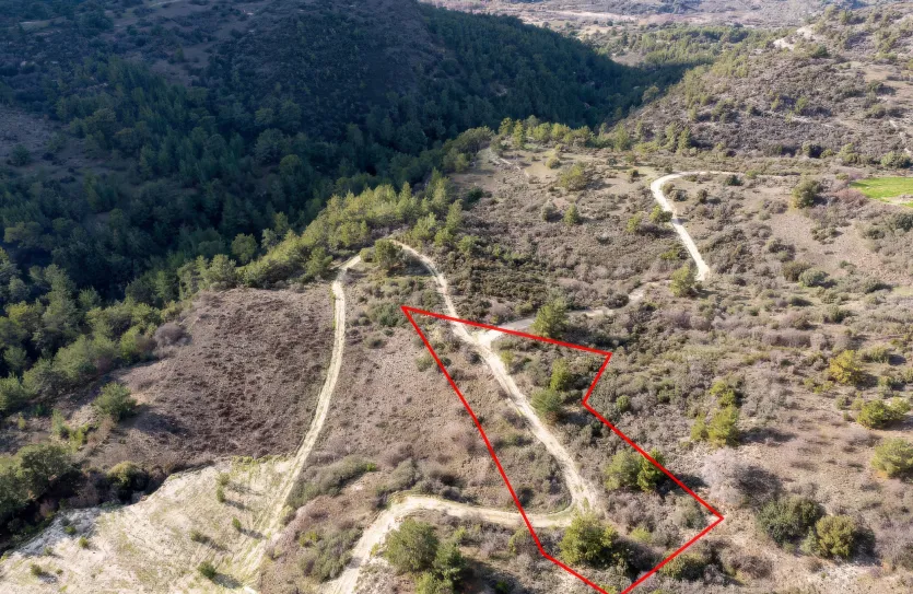 Сельхоз земля продажа - 18229