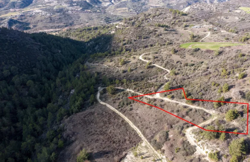 Сельхоз земля - 18229, photo 2