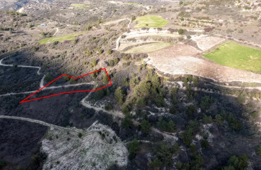 Сельхоз земля - 18229, photo 3