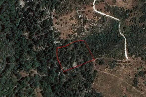 Сельхоз земля в Доре, Лимассол