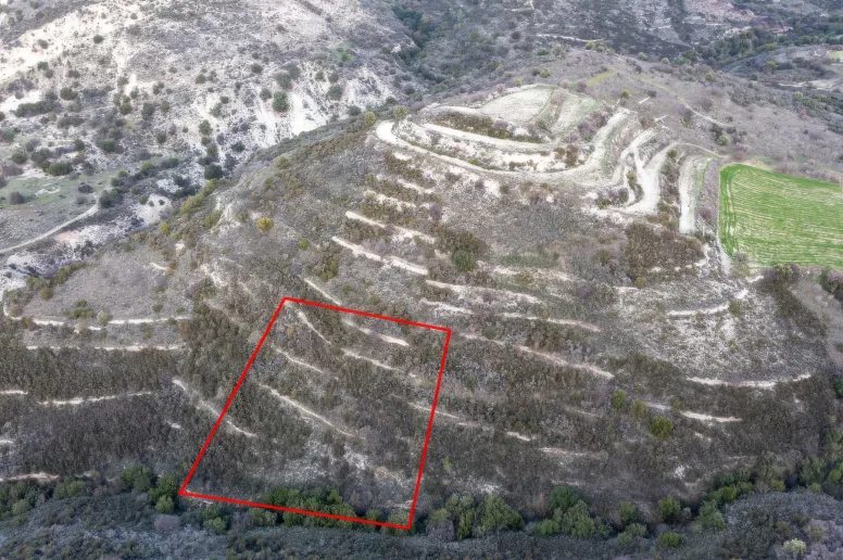 Сельхоз земля в Доре, Лимассол