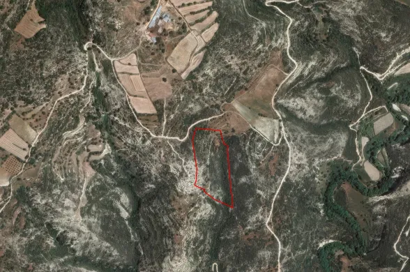 Сельхоз земля в Доре, Лимассол