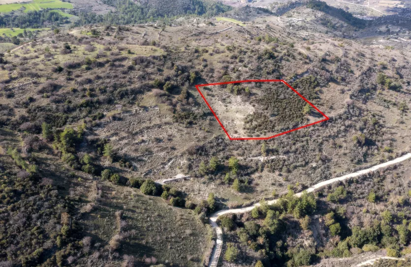 Сельхоз земля продажа - 18235