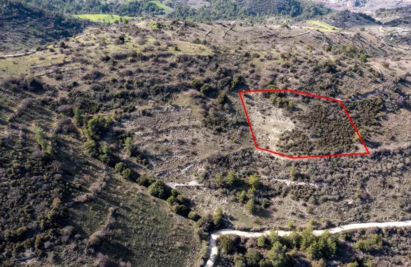 Сельхоз земля - 18235, photo 2