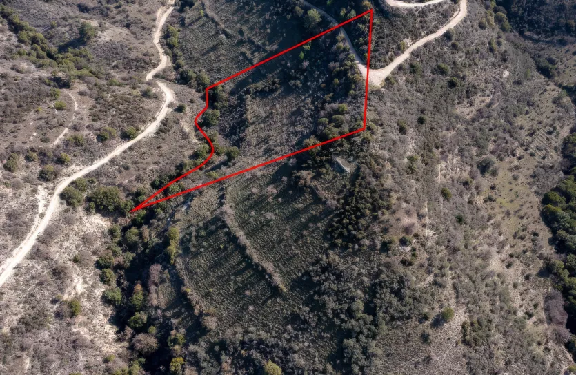 Сельхоз земля - 18234, photo 3