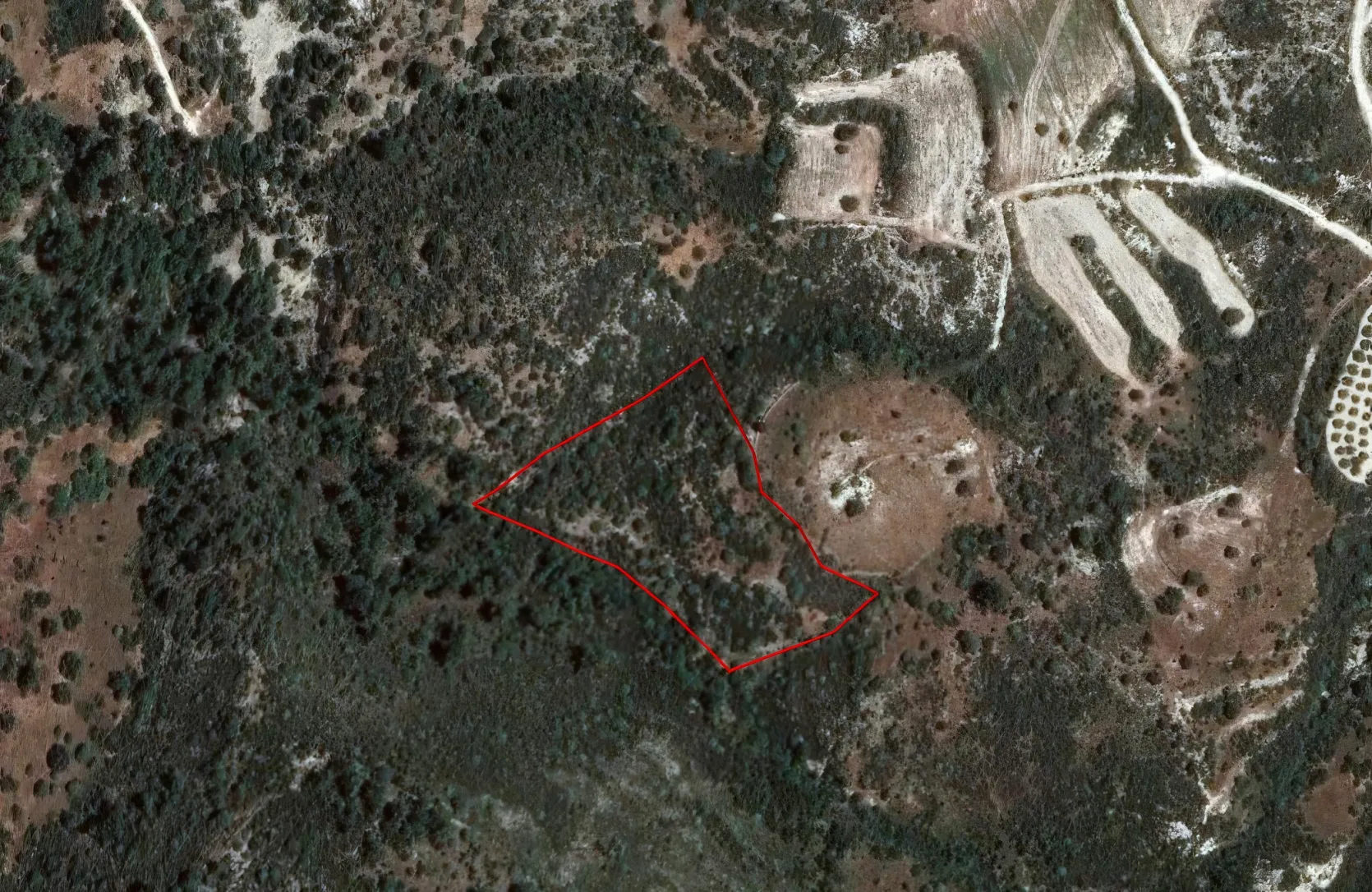 Сельхоз земля продажа - 18231