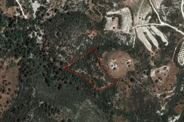 Сельхоз земля в Доре, Лимассол