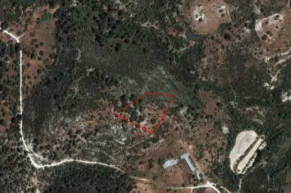 Сельхоз земля в Доре, Лимассол