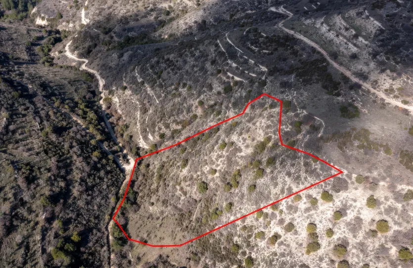 Сельхоз земля продажа - 18236