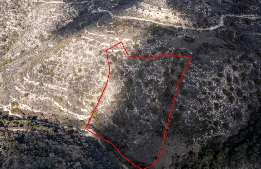 Сельхоз земля - 18236, photo 2