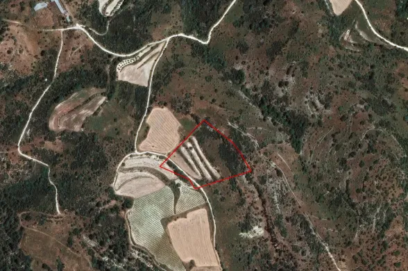 Сельхоз земля в Доре, Лимассол