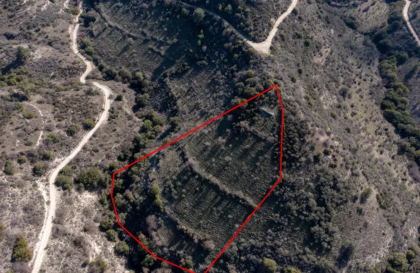 Сельхоз земля продажа - 18233