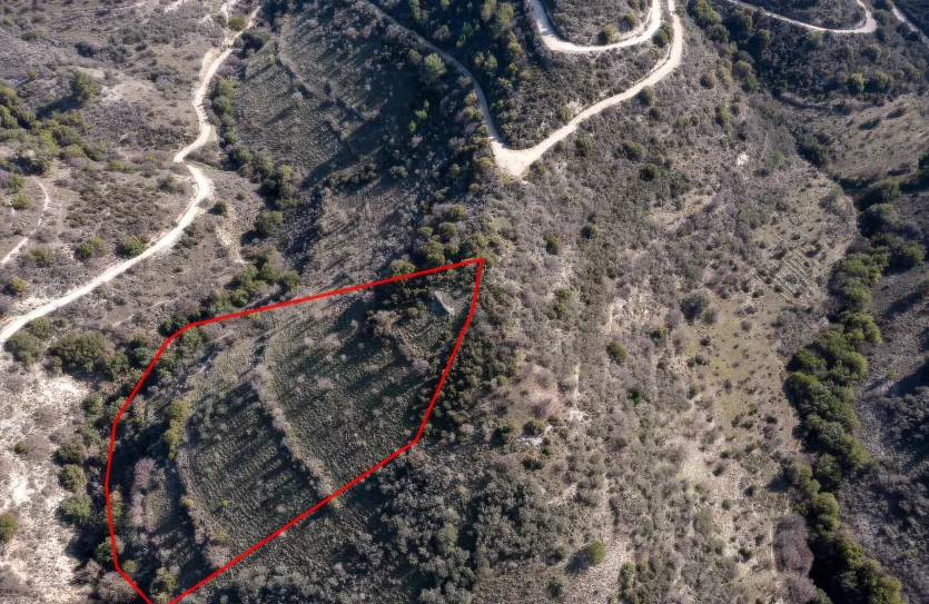 Сельхоз земля - 18233, photo 2