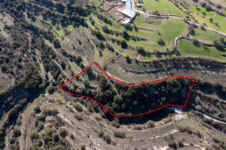 Сельхоз земля в Доре, Лимассол