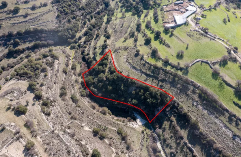 Agricultural land - 18241, photo 2