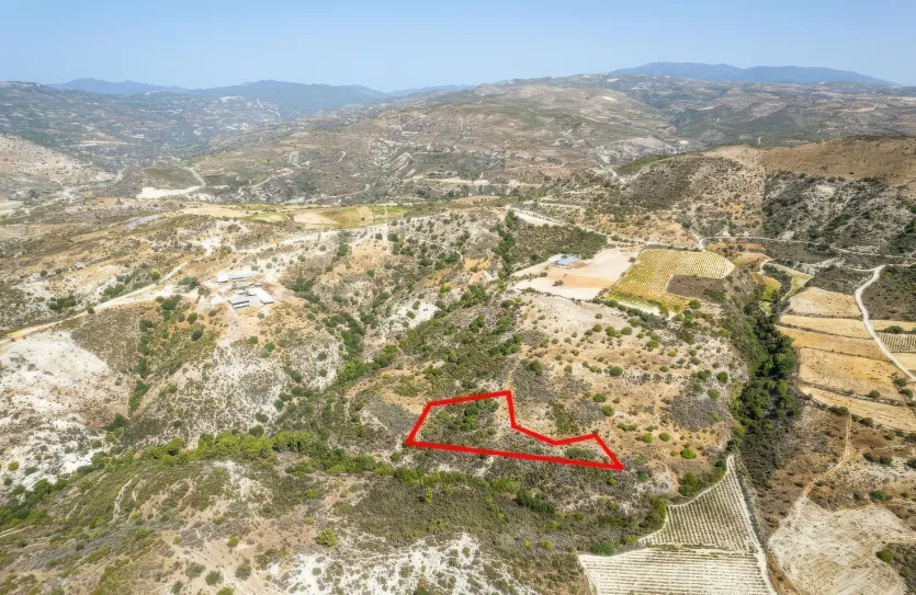 Agricultural land - 18249, photo 2