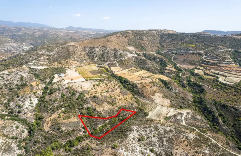 Agricultural land - 18249, photo 3