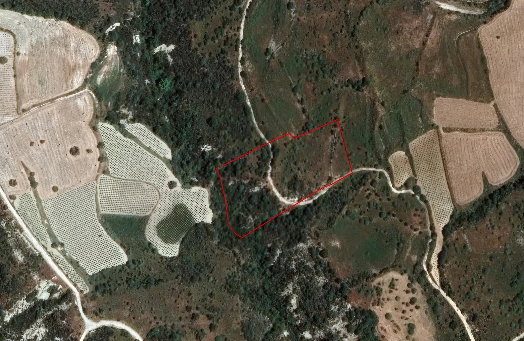 Сельхоз земля продажа - 18244