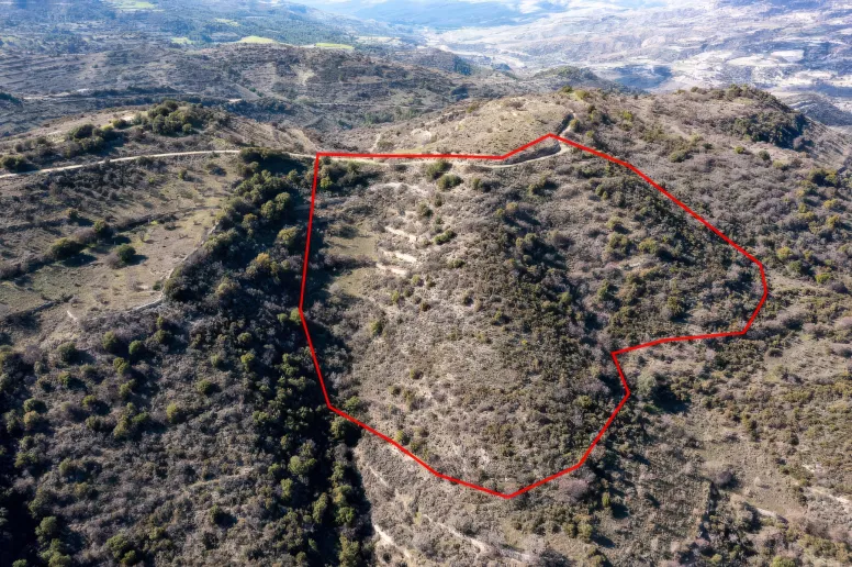 Сельхоз земля в Доре, Лимассол