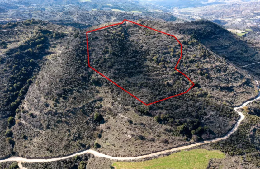 Сельхоз земля - 18246, photo 2