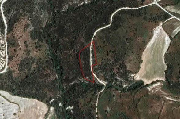 Сельхоз земля в Доре, Лимассол