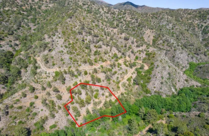 Agricultural land - 18248, photo 4