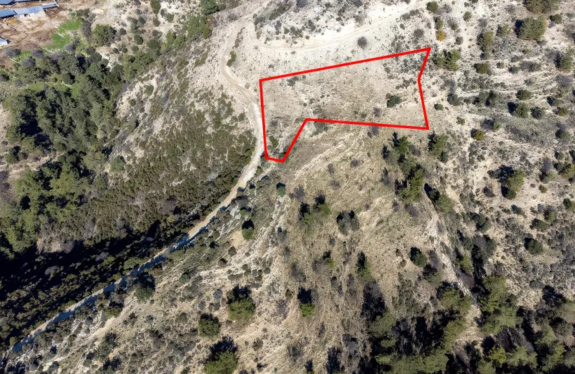 Agricultural land - 18257, photo 2