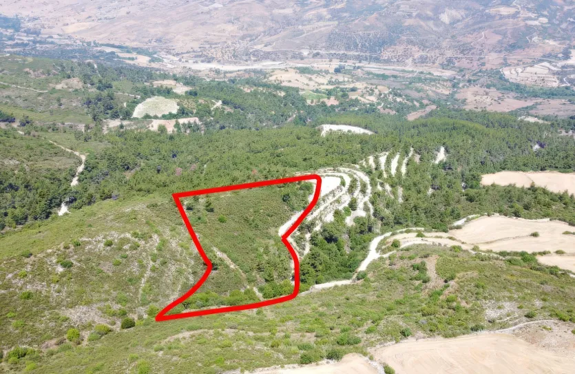 Agricultural land - 18253, photo 2