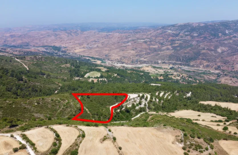 Agricultural land - 18253, photo 3