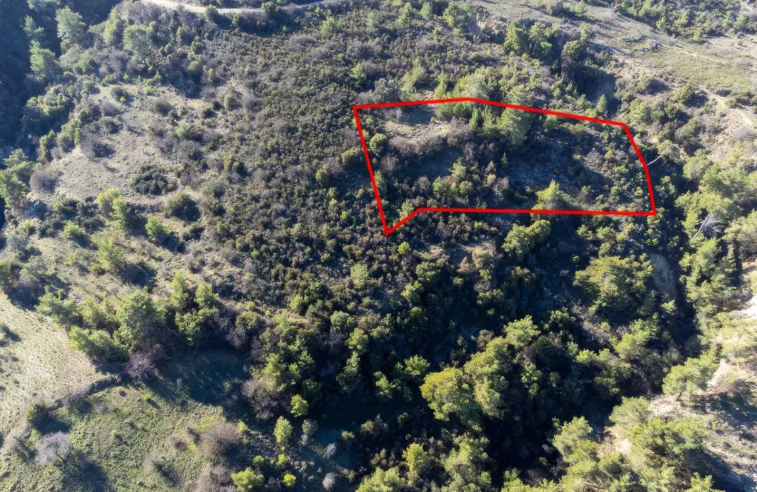 Agricultural land - 18252, photo 2