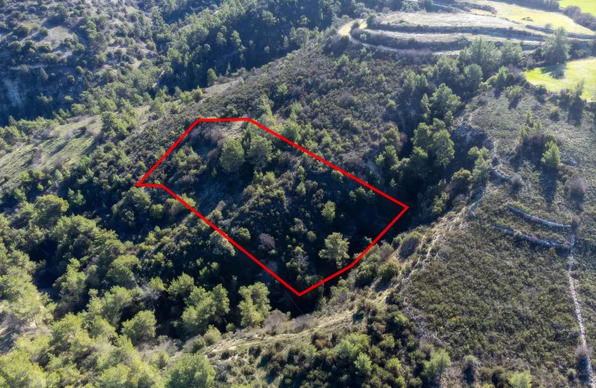 Agricultural land - 18252, photo 3