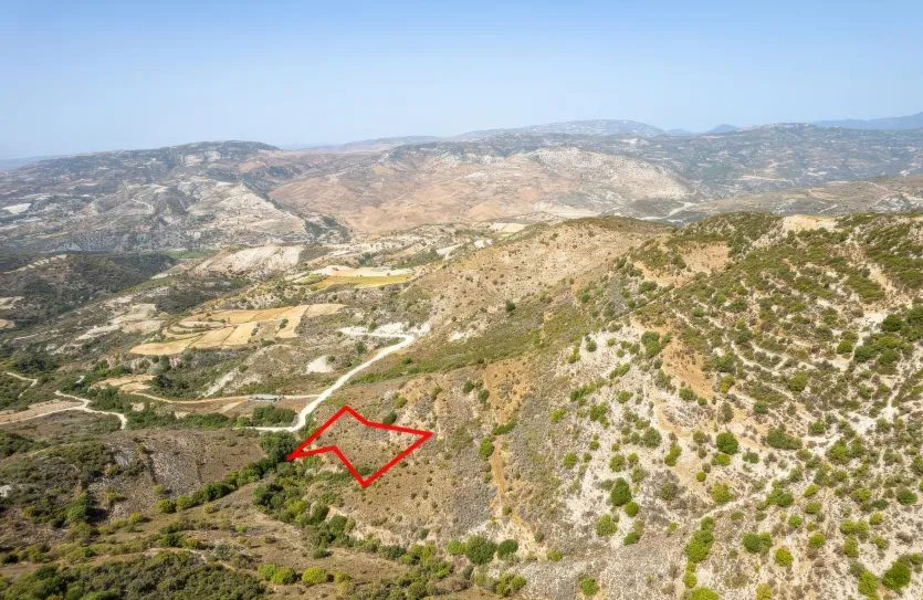 Сельхоз земля - 18251, photo 2