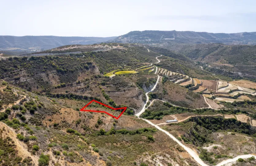 Сельхоз земля - 18251, photo 4