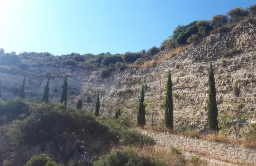 Agricultural land - 18259, photo 2