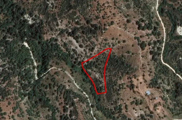 Сельхоз земля в Маусере, Пафос