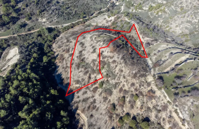 Agricultural land - 18265, photo 2