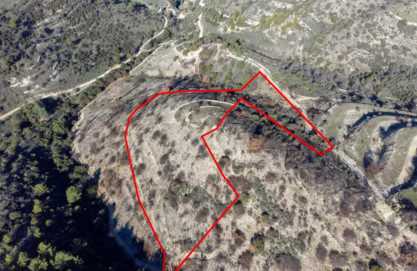 Agricultural land - 18265, photo 3