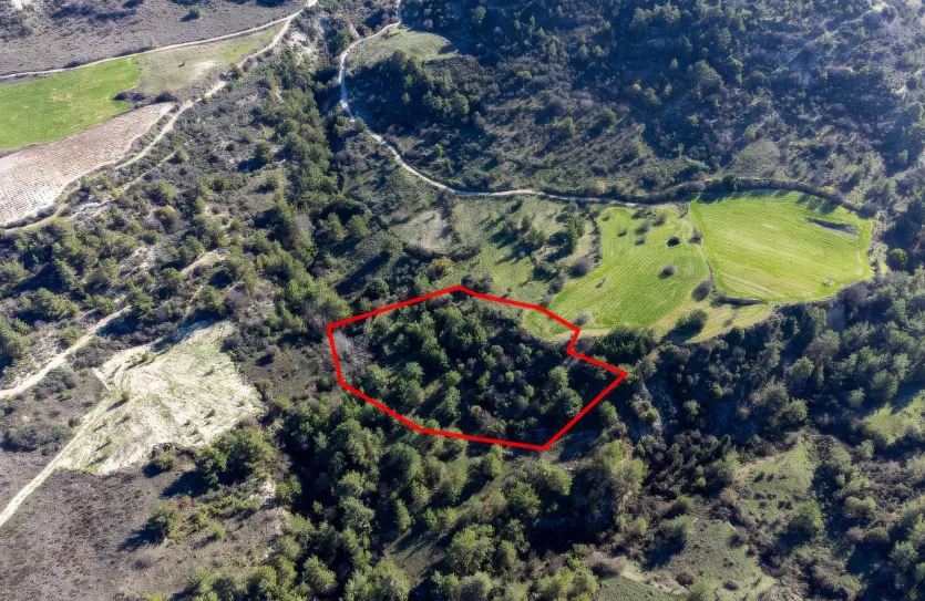 Сельхоз земля продажа - 18267